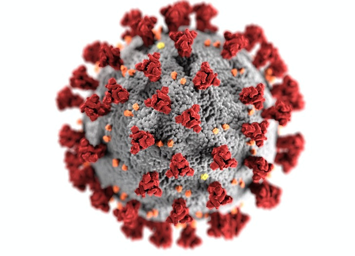 COVID -19 virus. Photo: unsplash.com