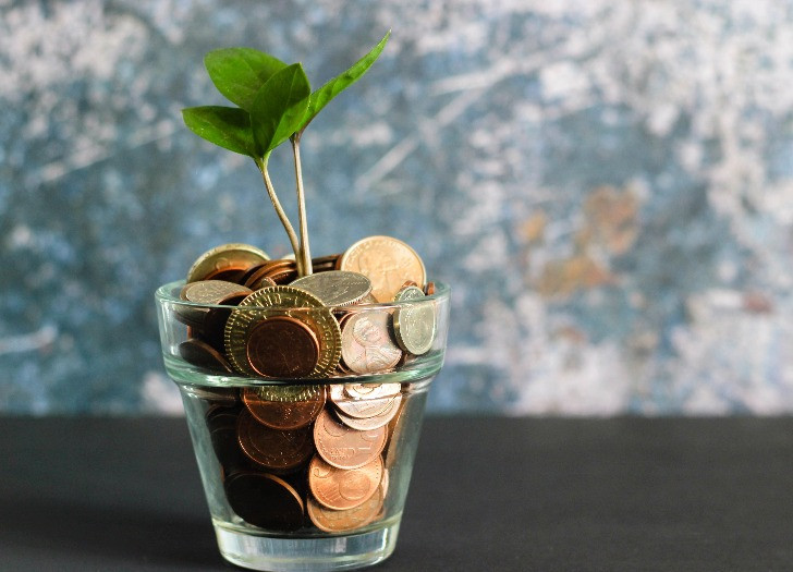 Glāze ar naudu, no kuras stiepjas zaļš augs. Avots - unsplash.com. 