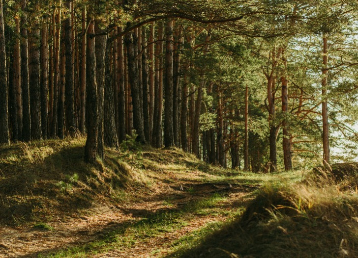 FID stiprina spējas atklāt noziegumus pret vidi un ar tiem saistīto noziedzīgu līdzekļu legalizēšanu